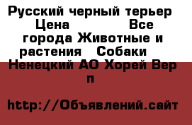 Русский черный терьер › Цена ­ 35 000 - Все города Животные и растения » Собаки   . Ненецкий АО,Хорей-Вер п.